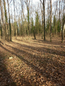 Fotó: Duna-Dráva Nemzeti Park Igazgatóság